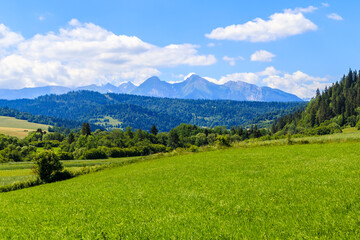 Green meadow and view of Tatra Mountains in Kacwin village on Poland Slovakia border on beautiful summer sunny day