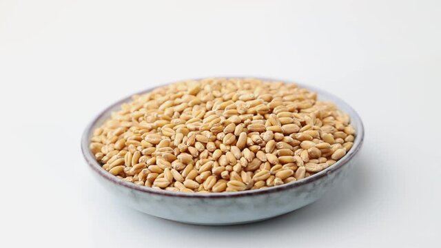 Rotating of wheat grains in ceramic plate on white background. Side view, close up.