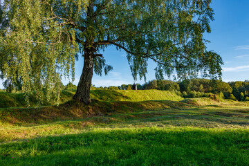 A monument at the grave of General Neverovsky, who died from being hit by a cannonball in the chest, at the site of a bloody battle during the war of 1812, on the Borodino field.