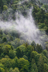 Carpathian mountains