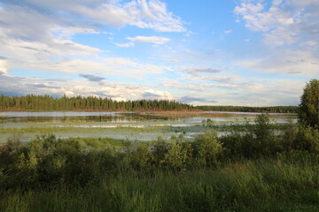 Summer Evening On Astotin Lake, Elk Island National Park, Alberta