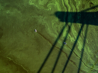 Aerial drone view. Two fishing boats in the shadow of the North Bridge in Kiev. Green blooming algae in the Dnieper river on a hot summer day.