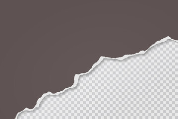 Piece of torn dark grey paper with soft shadow is on squared background for text. Vector illustration