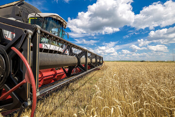Combine harvester working on a wheat field. Seasonal harvesting the wheat. Agriculture.