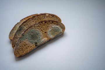 three pieces of spoiled rye bread covered with white and black mold