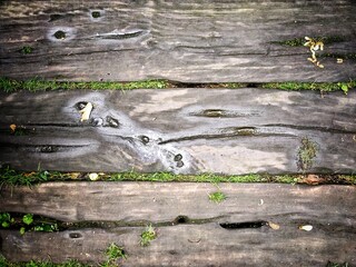 Naklejka premium old wood background