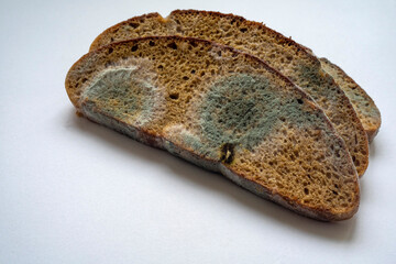 three pieces of spoiled rye bread with white and black mold