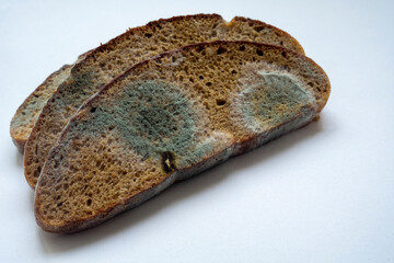 rye bread covered with mold