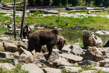 Le jardin des mondes en Belgique