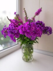 a beautiful bouquet of pink and purple Phlox in a transparent vase at home on a blurry background. Flower desktop Wallpaper