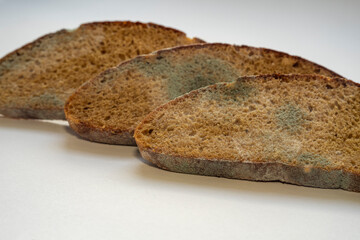 slices of sliced bread with mold and fungi