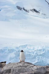 A trip around the Antarctic Peninsula, December 2019