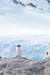 A trip around the Antarctic Peninsula, December 2019