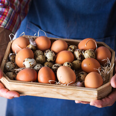 Senior farmer man holding in hands fresh organic eggs