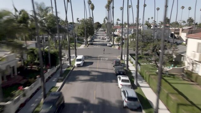 Drone zooms past palm trees in a sunny beach city suburb as a skate-boarder is revealed but quickly passed by drone.