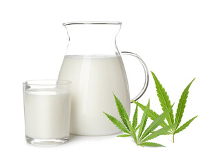 Hemp milk and fresh leaves on white background
