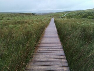 Fototapeta premium Wooden path