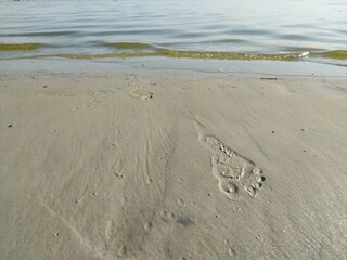 The footprint of a bare foot on the sand on the beach