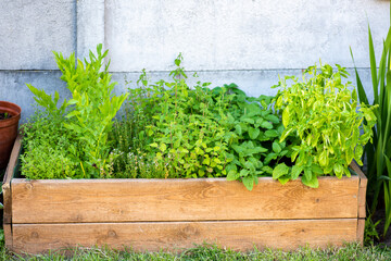 a box with herbs