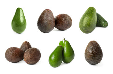 Set of whole avocados on white background
