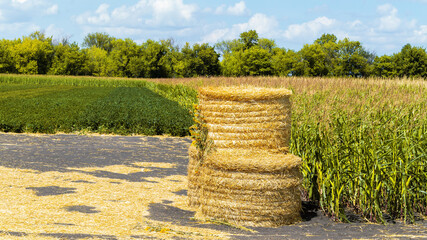 Harvesting straw bales