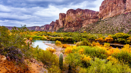 La rivière Salt et les montagnes environnantes avec des arbustes du désert aux couleurs de l& 39 automne dans le centre de l& 39 Arizona, États-Unis d& 39 Amérique