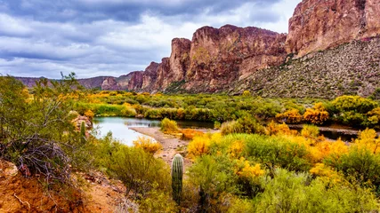 Fotobehang The Salt River and surrounding mountains with fall colored desert shrubs in central Arizona, United States of America © hpbfotos