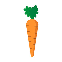 Carrot flat icon isolated on white background. Vector illustration.
