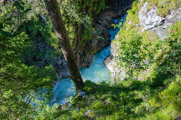 Stream's blue water between the green shores