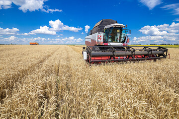 Combine harvester working on a wheat field. Seasonal harvesting the wheat. Agriculture.