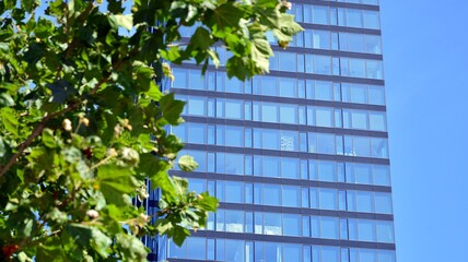 Facade texture of a glass mirrored office building. Fragment of the facade. Modern architecture of the office building.