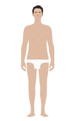 Fototapeta premium Caucasian man standing in underwear. vector