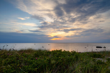 Grass with ocean sunset background, Sweden