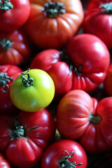 Tomaten