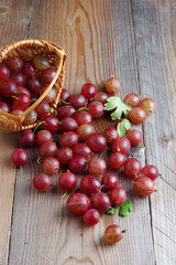 Ripe red gooseberries