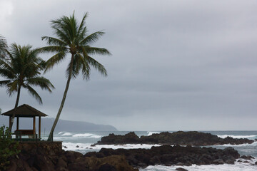 Fototapeta na wymiar hawaii beach scene