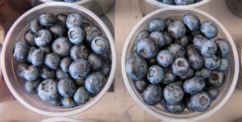 Group of fresh blueberries isolated.