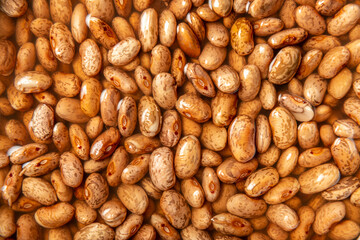 Detailed view of pinto beans sitting in shallow water  