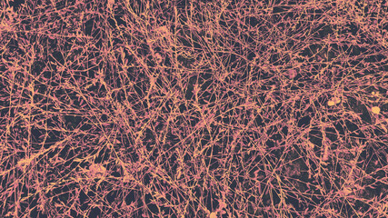 An ecological array of foliage, leaves, vines and ground, producing an interlacing texture background with copy space in a dramatic, artistic presentation. Warwickshire, England, Great Britain