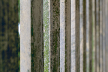 Pattern formed by old wooden fence with moss growing along the fenceposts