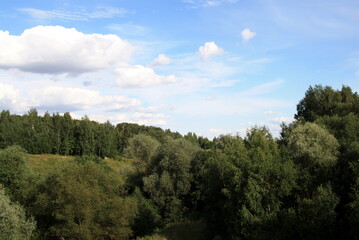 the landscape of forest and blue sky with clouds