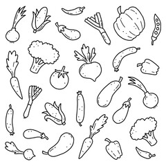 Hand drawn set of vegetable elements, carrot, salad, tomato, onion, lettuce, chili. Comic doodle sketch style. Vegetables element drawn by digital brush-pen. Vector illustration for icon, menu, frame