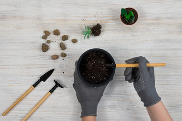 Female hands in gray gardening gloves pour the earth into a pot for planting a cactus....