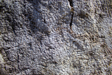 Unpolished granite surface. Warm sunlight. Beautiful background. Concept image.
