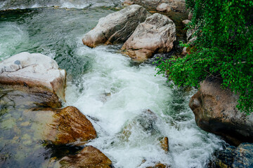 Scenic landscape with beautiful mountain creek with green water among lush thickets in forest. Idyllic green scenery with small river and rich greenery. Green water in mountain brook among wild flora.