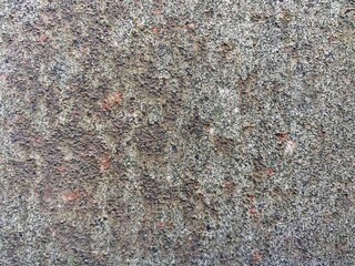 Bright old wall surface. Free space.