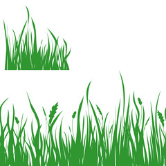Fototapeta premium Summer or Spring Green Grass isolated on white background. Long format Seamless line horizontal Pattern and square block grass. Border. Monochrome vector flat illustration