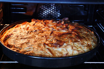 pies cooked in the oven, hot fresh cheese fritters procedures of Turkey,