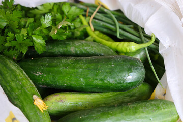 natural garden cucumber, organic non-medicated cucumber,