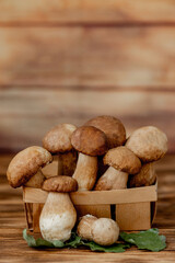Mushroom Boletus over Wooden Background. Autumn Cep Mushrooms. Ceps Boletus edulis over Wooden Background, close up on wood rustic table. Cooking delicious organic mushroom. Gourmet food